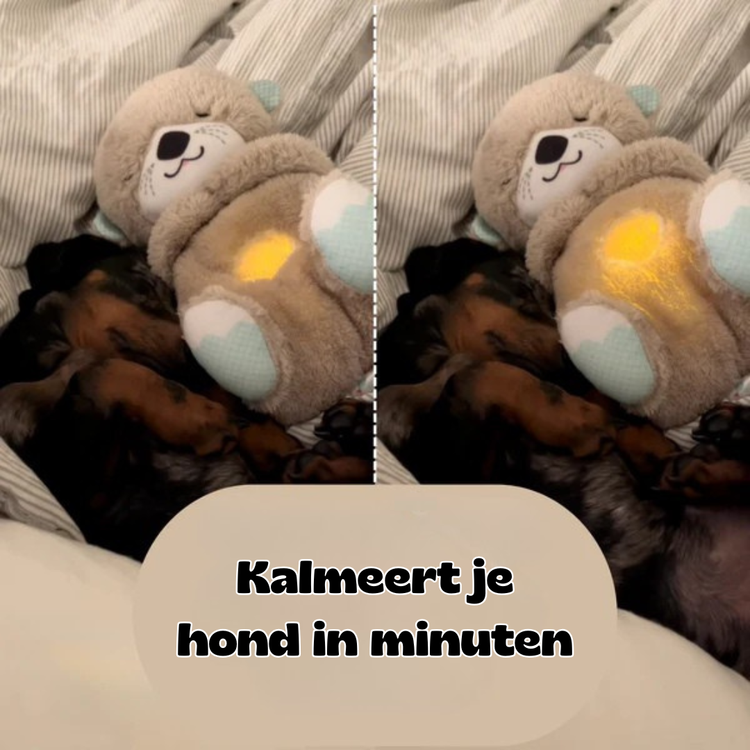 Elvori Kalmerende Ademende Otter